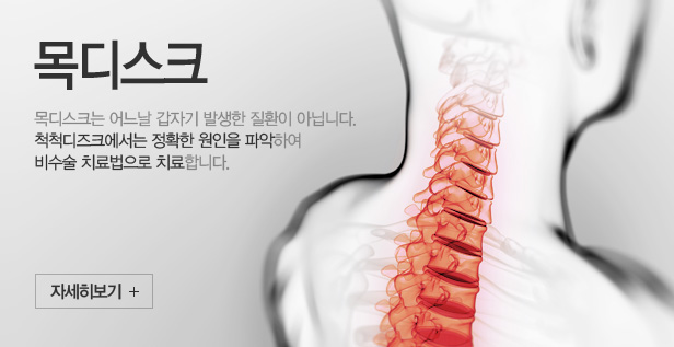 목디스크