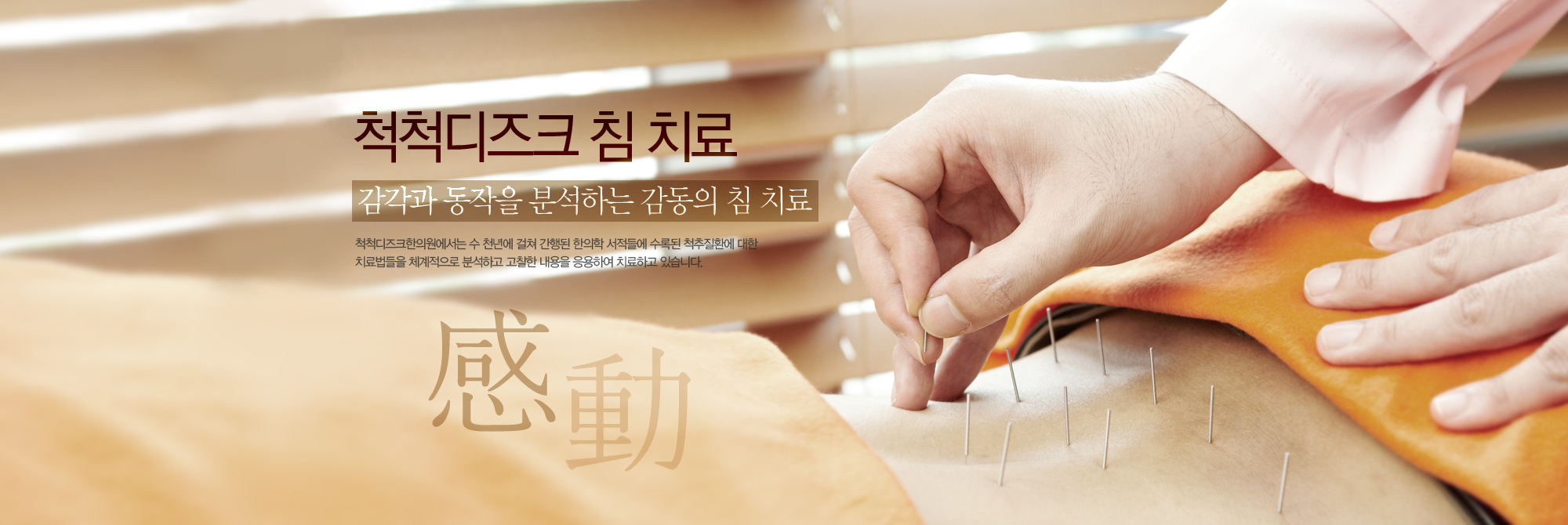 척척디즈크침치료